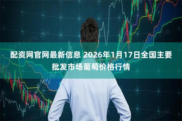 配资网官网最新信息 2026年1月17日全国主要批发市场葡萄价格行情